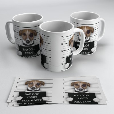 Caneca Pet 02